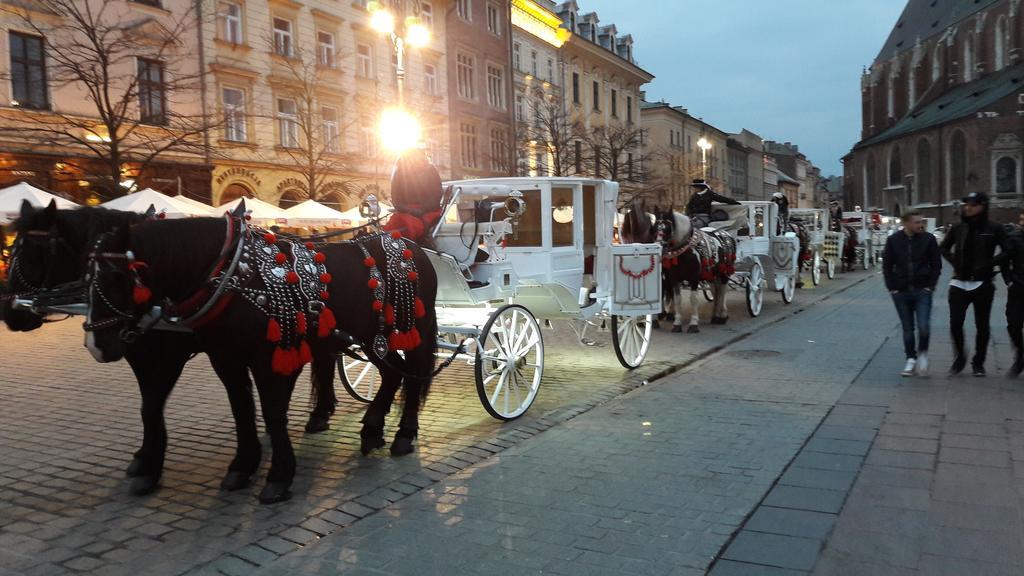 Apartament Feniks Stare Miasto 克拉科夫 外观 照片